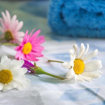 Appartamenti Celestina بورتوفيرّايو المظهر الخارجي الصورة